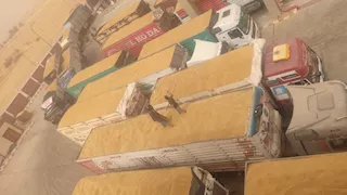 قفزة في توريد القمح.. صوامع الوادي الجديد تتجاوز 11 ألف طن خلال أيام