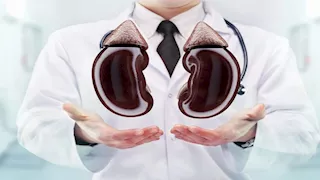   نوع توابل شهير يقي من الفشل الكلوي