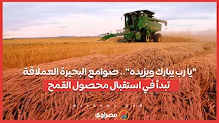 "يا رب يبارك ويزيده".. صوامع البحيرة العملاقة تبدأ في استقبال محصول القمح