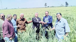 الزراعة: إحالة مخالفات في المنيا وقنا للنيابة العامة - تفاصيل