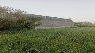 مسؤول بالزراعة: 1.2 متر مربع فقط نصيب المواطن من المساحات الخضراء  