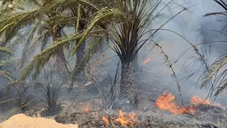 السيطرة على حريق مزارع نخيل بقرية القصر في الداخلة