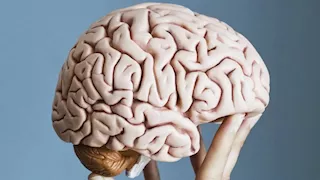 انتبه.. الإفراط في هذا الطعام يسبب ضعف الذاكرة ويؤثر على أداء الدماغ