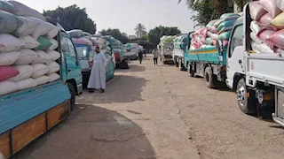 توريد 3322 طن قمح في سوهاج منذ بدء الموسم ورفض 26 طنًا غير مطابقة للمواصفات