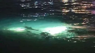 أنوار غامضة في قاع البحر.. حكاية تماثيل تحت الماء تبهر السائحين في دهب