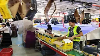 "ذهب القليوبية" يتحدى اضطراب الملاحة.. رحلة الموالح من المزارع إلى موائد العالم