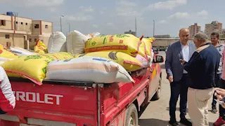 "ذهب كفر الشيخ الأصفر".. توريد أكثر من 29 ألف طن قمح للصوامع (صور)