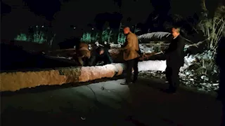 رياح عاتية تضرب بني سويف.. سقوط نخلة وجدار منزل وإصابة مواطنين شرق النيل