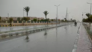 نشرة التوك شو| تحذير من انهيار أسعار الدواجن.. وموعد تحسن الطقس