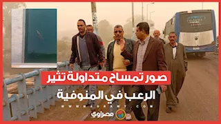 "رعب في بير شمس".. صور تمساح متداولة تثير القلق بين أهالي المنوفية