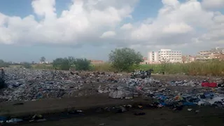 محافظة الإسكندرية تلاحق النباشين.. إزالة 1408 أطنان مخلفات في 4 مناطق (صور)