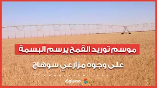 من الحقول إلى الصوامع.. موسم توريد القمح يرسم البسمة على وجوه مزارعي سوهاج
