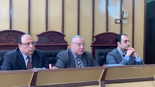 طعنها ورماها من البلكونة.. الإعدام لشاب قتل والدته في بورسعيد