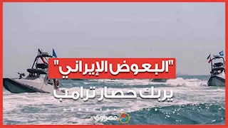 "البعوض الإيراني" يربك حصار ترامب.. كيف يواجه أضخم سفن أمريكا؟