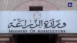 الزراعة: إصدار 490 ترخيصًا وتشغيل تمويلات بـ211 مليون جنيه لمشروع البتلو في أبريل