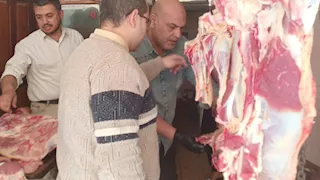 ضبط لحوم فاسدة وذبيحة مريضة خلال حملات تموينية في بنها -صور