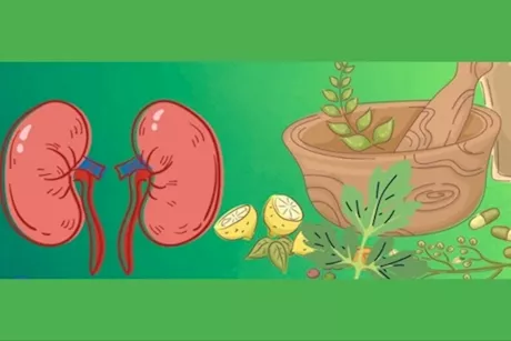 هل يمكن علاج مشاكل الكلى بالأعشاب؟- طبيب يحسم الجدل "فيديو"