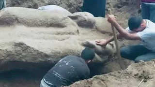 بطل كشف الحسينية.. رمسيس الثاني يظهر في "تل فرعون" بالشرقية