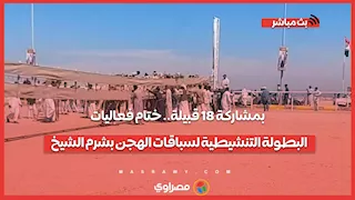 بمشاركة 18 قبيلة.. ختام فعاليات البطولة التنشيطية لسباقات الهجن بشرم الشيخ
