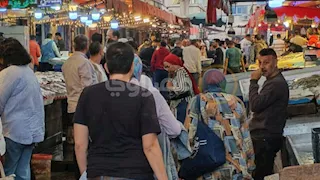 الشبار بـ70 جنيهًا.. إقبال كبير على سوق الأسماك في بورسعيد -فيديو وصور