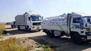 تموين كفر الشيخ: استلام نحو 4 آلاف طن قمح منذ بدء موسم التوريد 2026 -صور