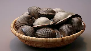  بينها الأخطبوط.. أطعمة تؤكل حية تثير الدهشة والجدل (صور)