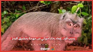 كيف تسبب قرد في إبعاد بحار أمريكي عن التوجه إلى مضيق هرمز؟