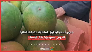 جنون أسعار البطيخ.. لماذا ارتفعت هذا العام؟.. تاجر في أسيوط يكشف الأسباب