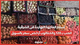 أسعار الفاكهة النهاردة فى الشرقية.. العنب بـ 120 والكنتالوب أرخص سعر بالسوق