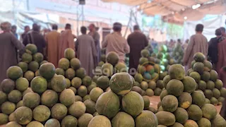 "حَمَار وحلاوة وعالسكين".. تفاصيل مزاد البطيخ داخل شادر أسيوط (فيديو وصور)