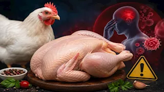 بعد جدل نظام الطيبات.. هل الدجاج فعلا مضر؟