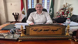 تموين الشرقية: ارتفاع إنتاج القمح بفضل التوسع الزراعي وتحسن المناخ (صور)