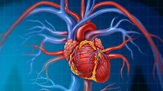  مزيج مثالي لصحة القلب.. 3 تركيبات غذائية مفيدة 