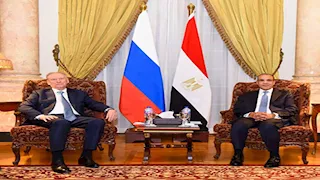 وزير الخارجية يستعرض جهود مصر لاحتواء التصعيد بالمنطقة