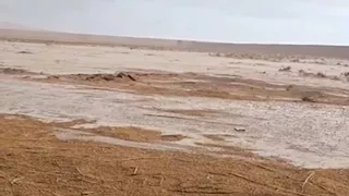سيول تضرب بعض أودية العريش ورفح والشيخ زويد.. وتحرك عاجل من الري
