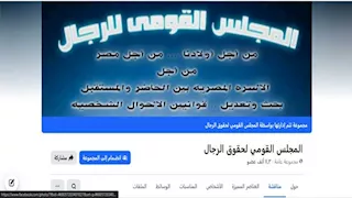 تحركات برلمانية ودعاوى قضائية.. تاريخ من المطالبات لإنشاء "مجلس قومي للرجل"