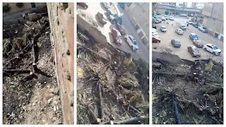 السيطرة على حريق نخيل بجوار مجلس مدينة قويسنا بالمنوفية (صور)