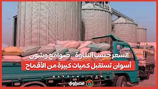 السعر حسب النقاوة.. صوامع وشون أسوان تستقبل كميات كبيرة من الأقماح