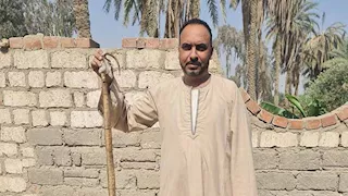 "زواحف الجبل" تؤرق قرى الفيوم الحدودية.. والصحة تتدخل بخطة أمصال جديدة -صور