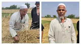 حصدوا القمح في العتمة.. تفاصيل القبض على سارقي محصول فلاح الشرقية -فيديو