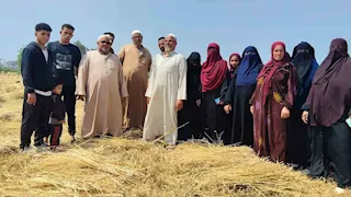 كواليس إخلاء سبيل 5 متهمين في واقعة سرقة قمح الشرقية  