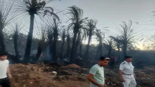 3 ساعات وسط اللهب.. تفاصيل السيطرة على حريق مصيعد بطور سيناء وأسباب اندلاعه- فيديو وصور