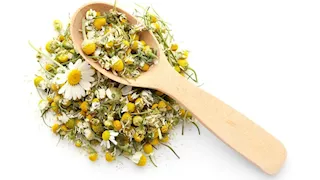 هل شرب البابونج يوميًا هو السر الطبيعي لراحة الأعصاب وتحسين الصحة؟