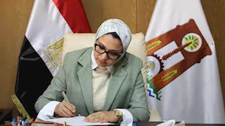 الأحد "أون لاين".. قرار عاجل من محافظ الوادي الجديد بشأن العمل عن بُعد