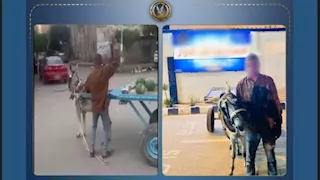 القبض على بائع خضروات ضرب حماره في البحيرة