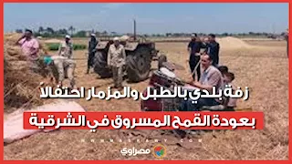 "الحق رجع لصحابه".. زفة بلدي بالطبل والمزمار احتفالاً بعودة القمح المسروق في الشرقية