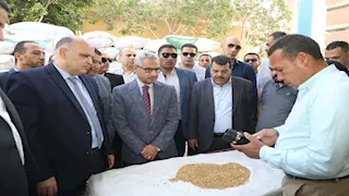  توريد 210 آلاف طن قمح بـ 4 محافظات والوادي الجديد في الصدارة ص-صور