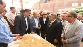 محافظ الدقهلية يتفقد صوامع ميت غمر مع انطلاق حصاد القمح (صور)