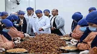 رئيس الوزراء: التمور صناعة واعدة تدعم التصدير