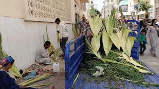 "مش تجارة.. دي فرحة".. "أم جورج" تروي حكاية 30 عاماً من غزل السعف لأهالي المنيا -فيديو وصور